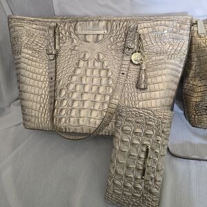Elegant Crocodile Embossed Tan Handbag Set